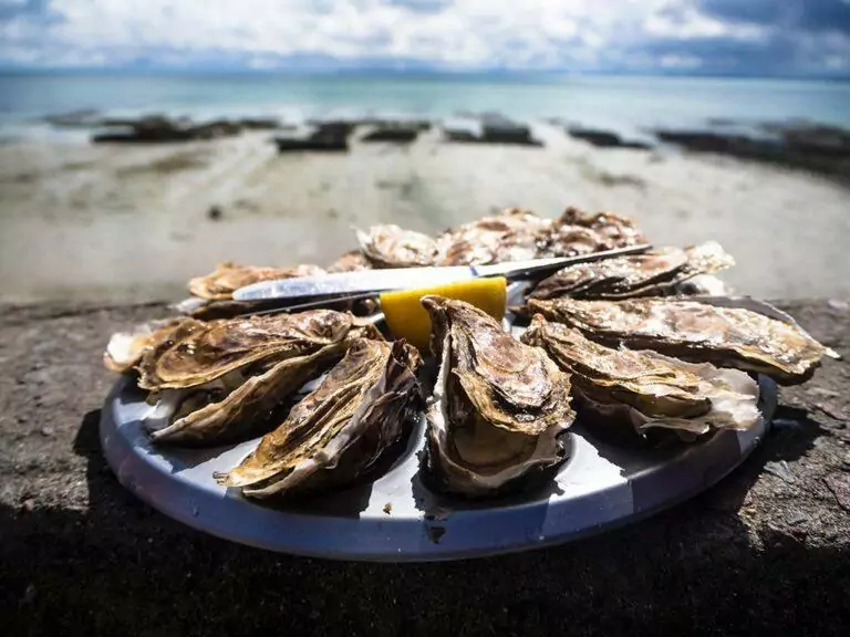 repas pour les fins gourmets